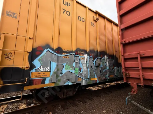 UP700015