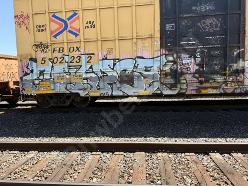 FBOX502232