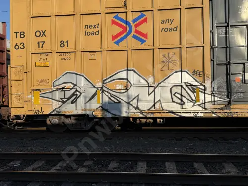 TBOX631781