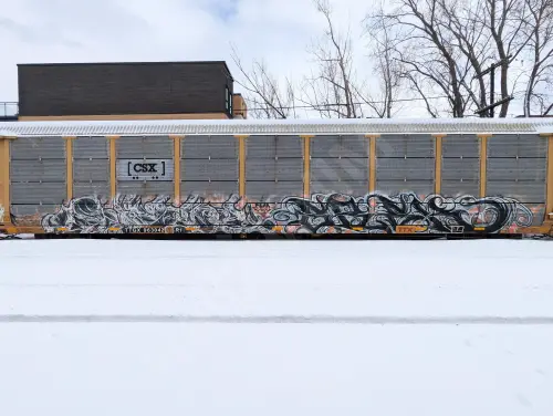 Train photo