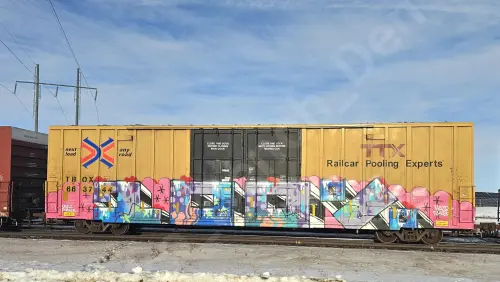 TBOX663744
