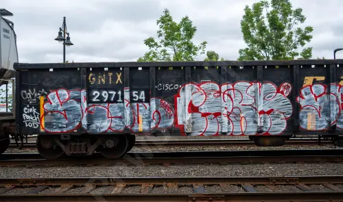 GNTX297154
