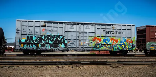 FXE874854