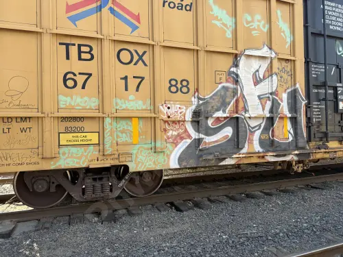 Train photo