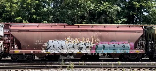 ATSF314805