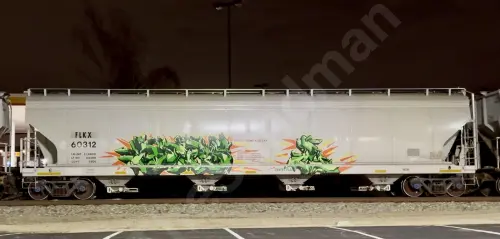 Train photo