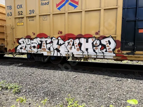 TBOX635239