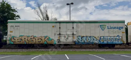 LINX8431