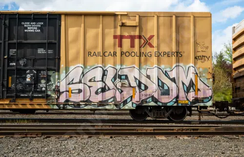 TBOX667017