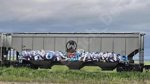 CP654901