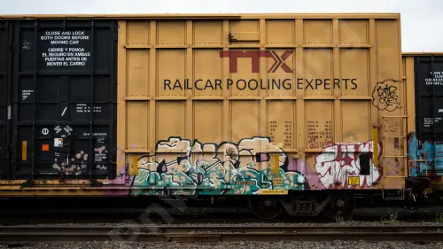 TBOX664237