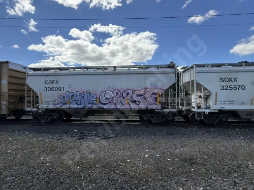 CBFX306091