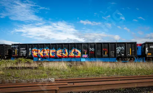 CHTT214601