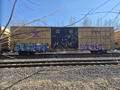 TBOX630317