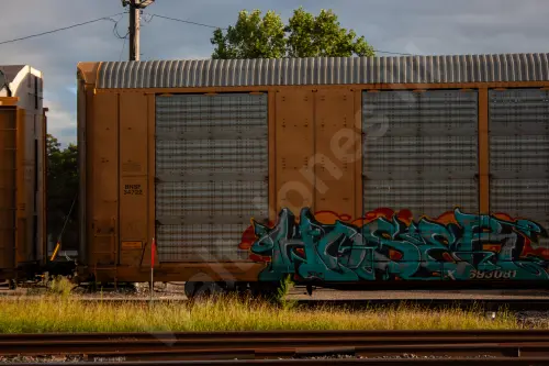 TTX693081