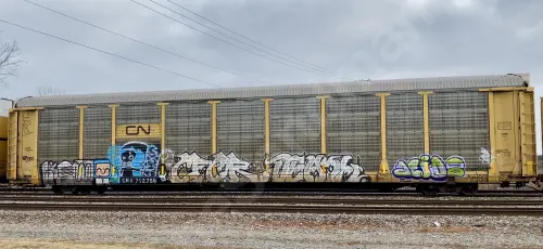 Train photo