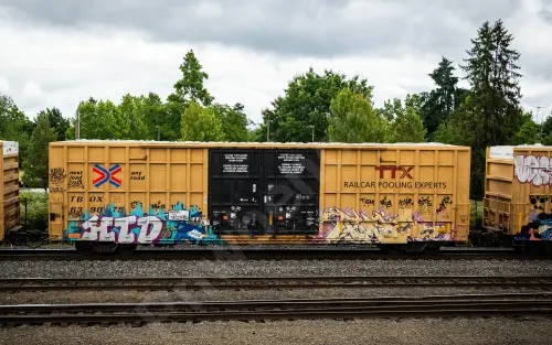 Train photo