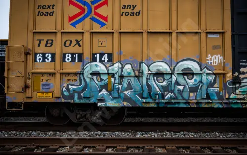 TBOX638114