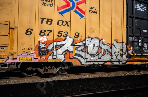TBOX667539