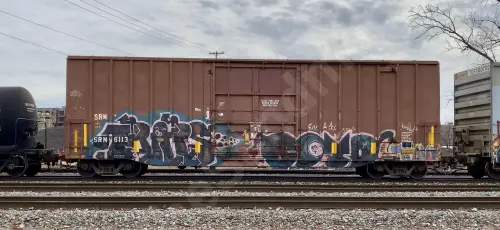 SRN6113