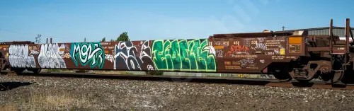 AOK55494