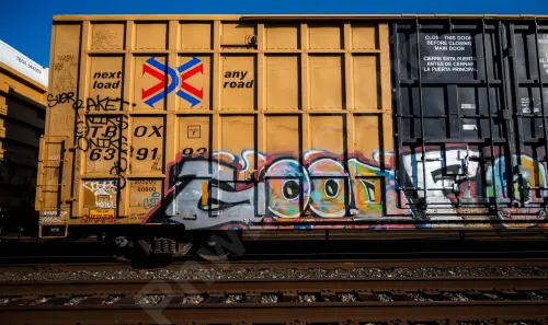 TBOX639193