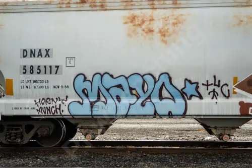 DNAX585117