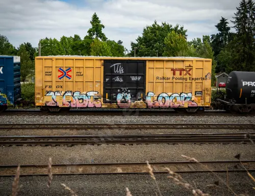 FBOX506108