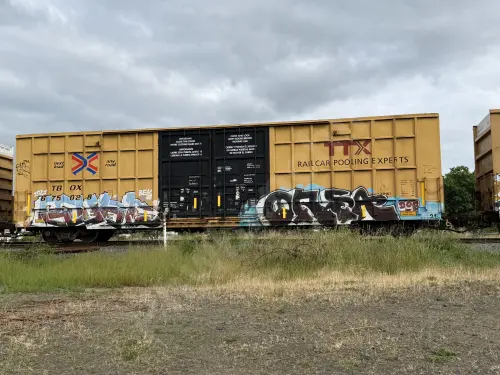 TBOX675028