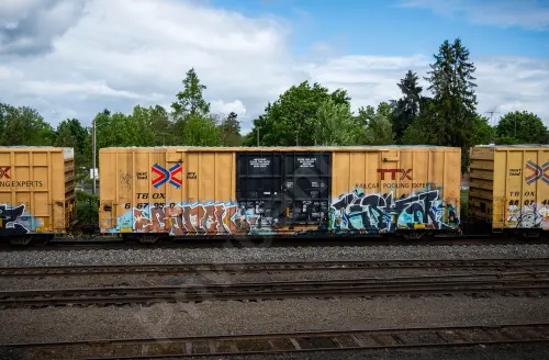 Train photo
