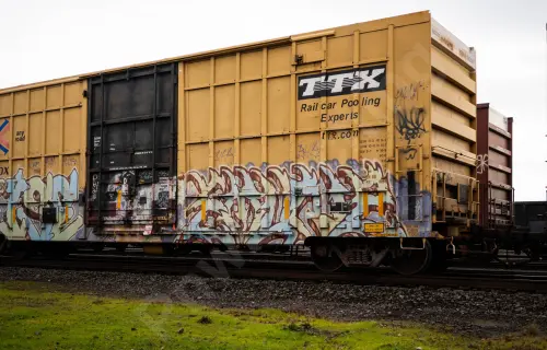 FBOX502697