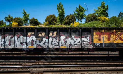 GNTX295921
