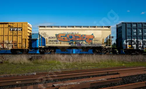 Train photo