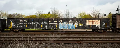 GNTX290182