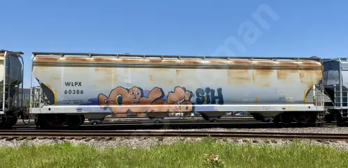 Train photo