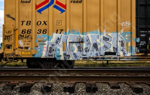 TBOX663617