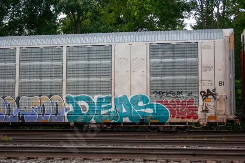 SOO519055