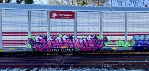 TTGX707315