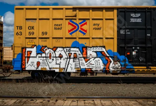 TBOX635959