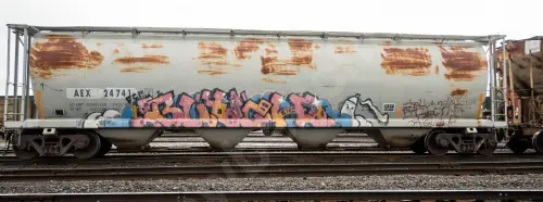 AEX24741