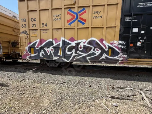 TBOX632154
