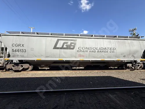 CRGX546133