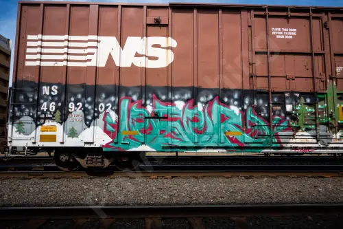 NS469202