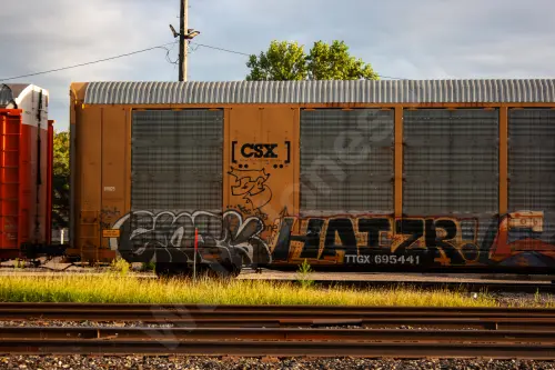 TTGX695441