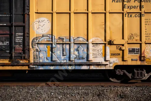 FBOX502284