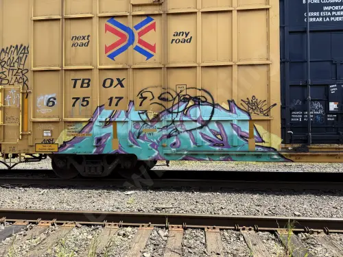 TBOX675177