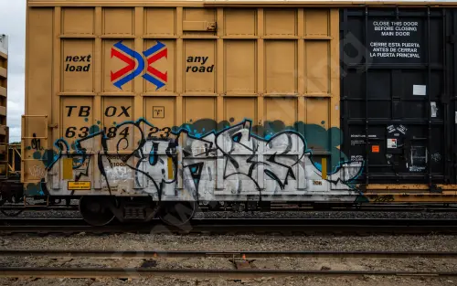 TBOX638423