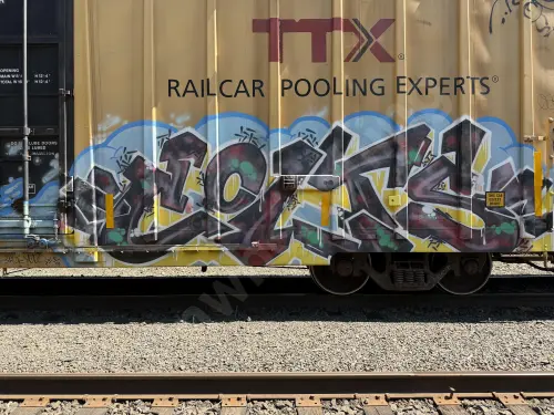 TBOX667971