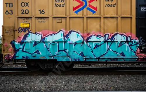 TBOX632016
