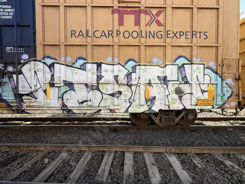 TBOX663899